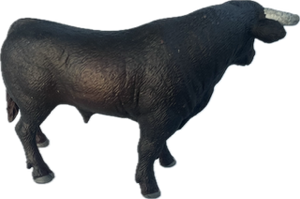 Cattle - Black Scrub Bull - Country Toys