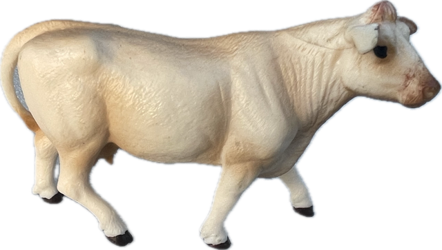 Cattle - Charolais Cow - Country Toys – Country Toys Australia