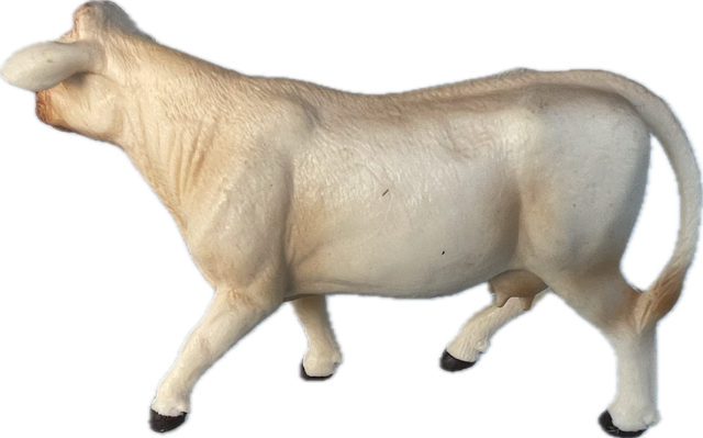 Cattle - Charolais Cow - Country Toys – Country Toys Australia