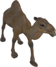 Load image into Gallery viewer, Wildlife - Camel - Country Toys