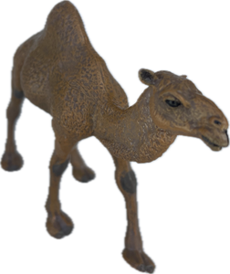 Wildlife - Camel - Country Toys